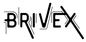 brivex.online (4) page 0001